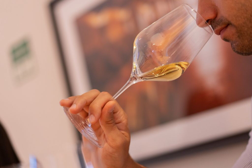 WOW Escuela del Vino de Oporto: La Experiencia del Vino + Cata Personalizada
