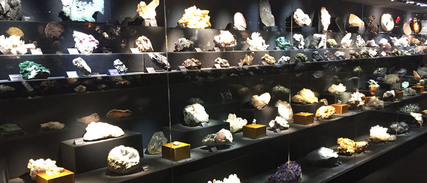 Museu de História Natural La Specola: sem filas