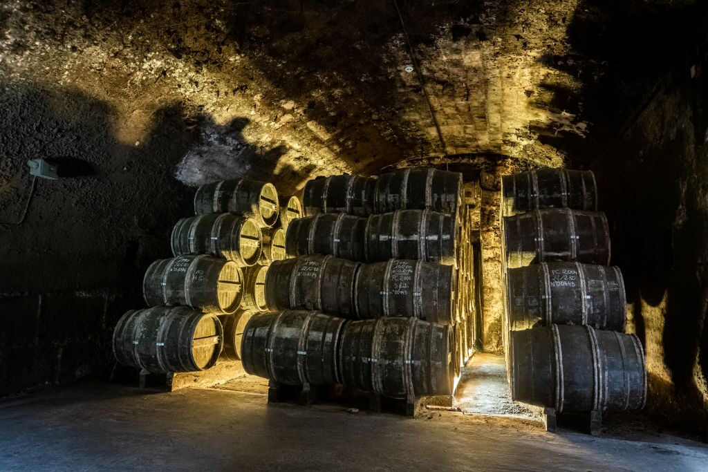 Château Royal de Cognac : Visite guidée + dégustation