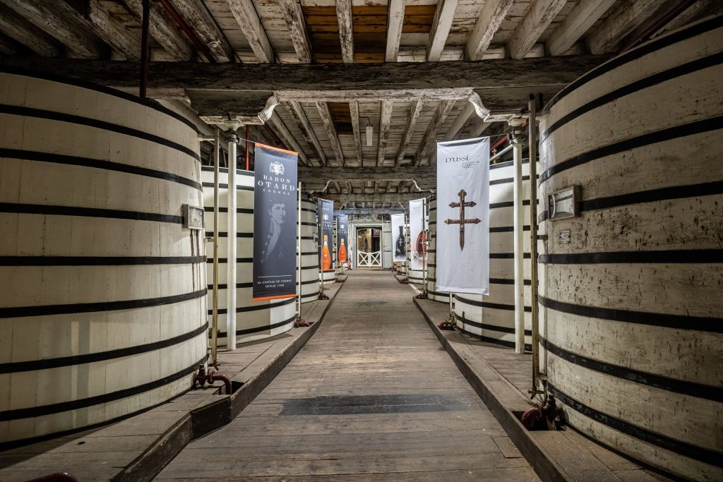 Château Royal de Cognac : Visite guidée + dégustation