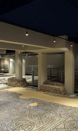 Domus dei Tappeti di Pietra: Biglietto d'ingresso