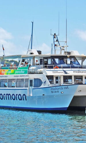 Palma de Mallorca: Crucero de 2 horas en Catamarán + Natación y Snorkel