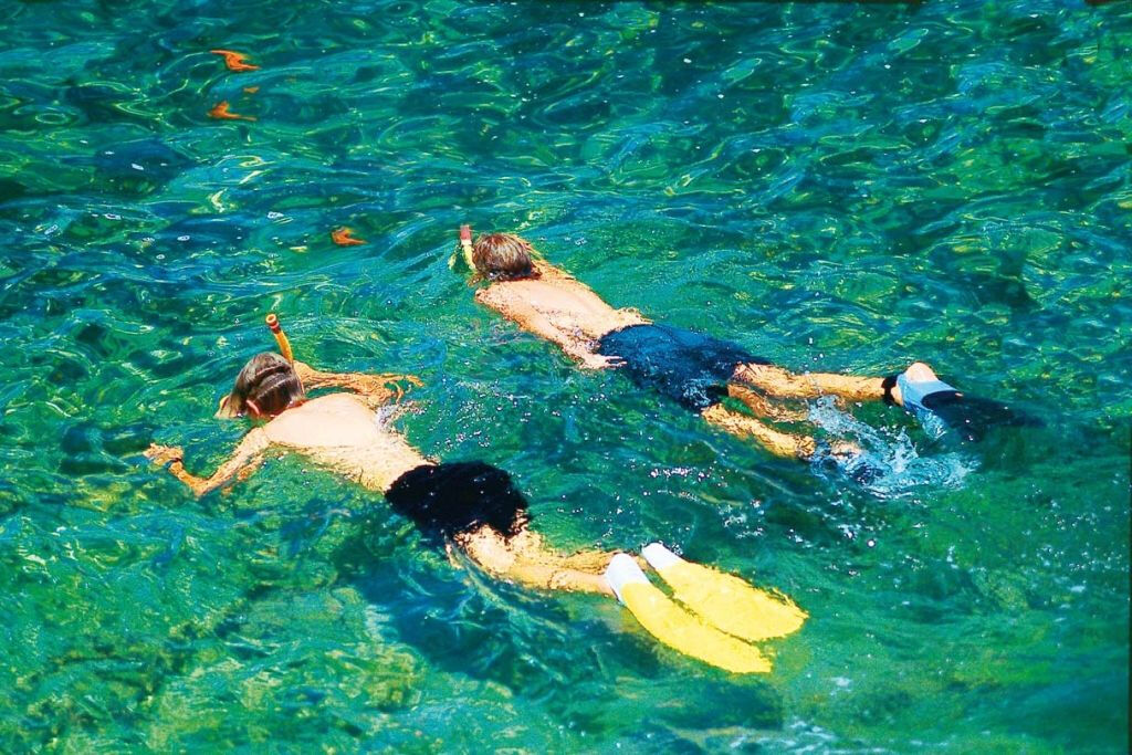 Palma de Mallorca: cruzeiro de catamarã de 2 horas + natação e mergulho com snorkel