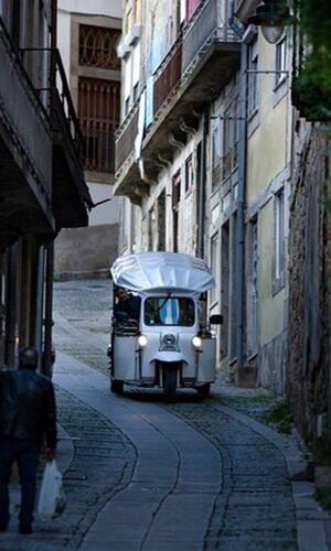 1,5 heure de visite touristique privée en tuk tuk électrique de la ville historique de Porto