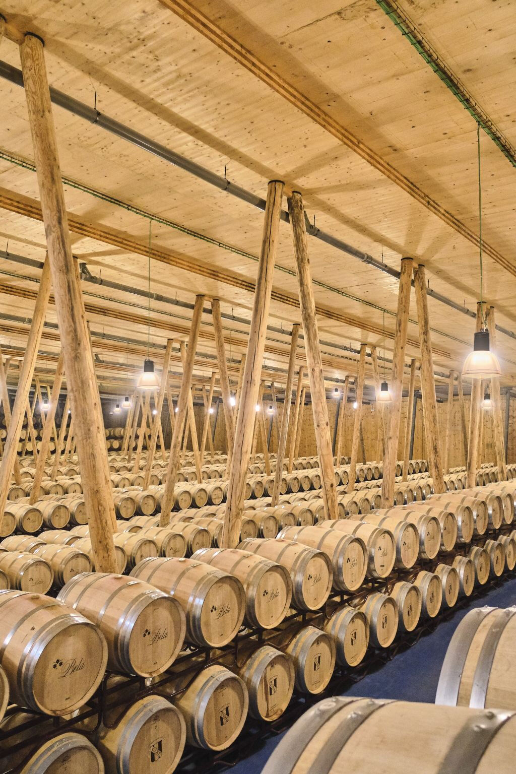 Bela Winery - Villalba de Duero (Burgos)