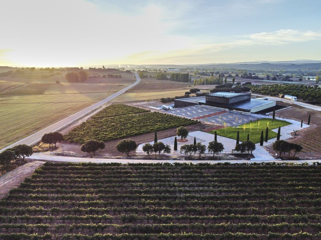 Bodega Bela - Villalba de Duero (Burgos)