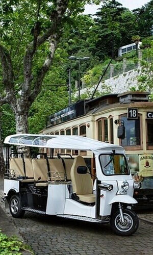 2 heures de visite en tuktuk privé à Porto Douro vers la rive gauche