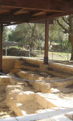 Villa Castelli: tour a piedi con degustazione di olio d'oliva