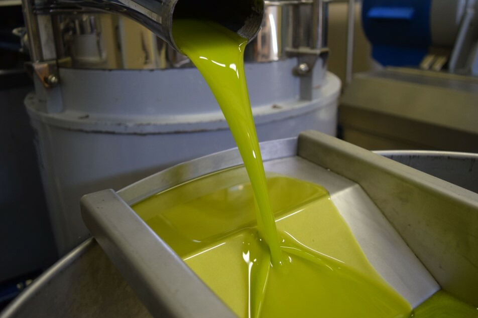 Villa Castelli: tour a piedi con degustazione di olio d'oliva