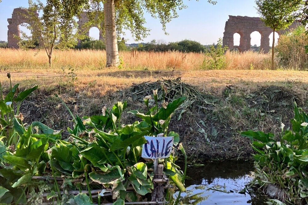 Randonnée urbaine à l'ancien Parco Degli Acquedotti