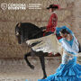 Mostra equestre 'Passione e spirito del cavallo andaluso'