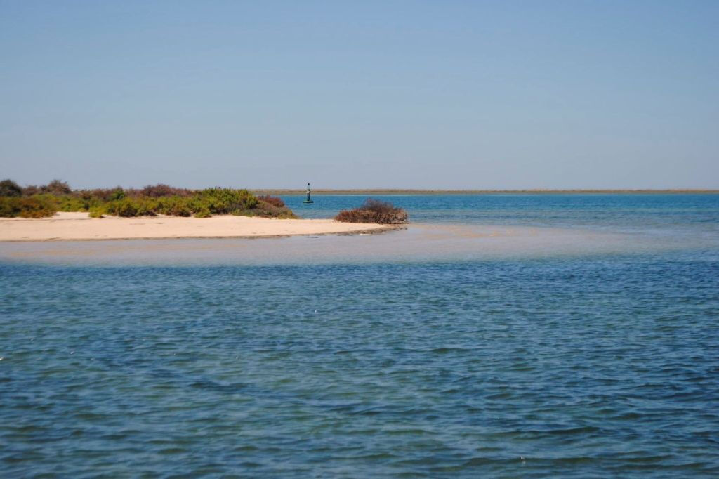 Breve excursión en barco por la Ría Formosa desde Faro