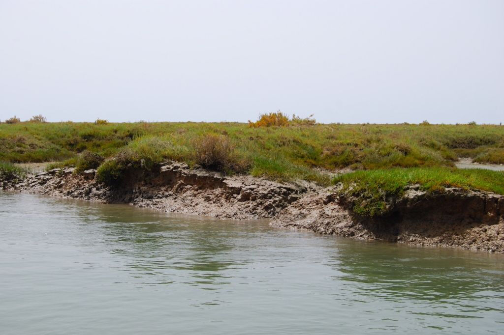 Breve excursión en barco por la Ría Formosa desde Faro