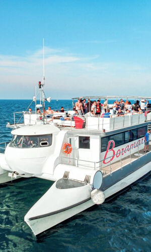 Tours y Excursiones en Catamarán: Valencia