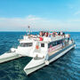 Tour ed escursioni in catamarano: Valencia