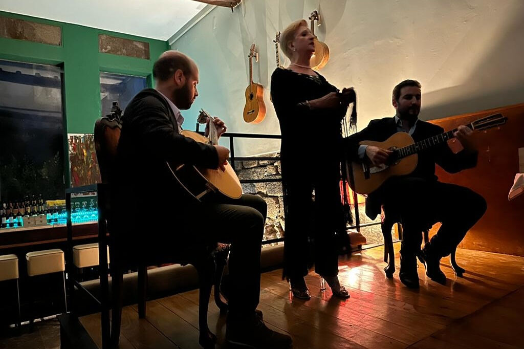 Porto: Spettacolo di fado dal vivo + cena
