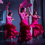 Córdoba: Espectáculo Flamenco con Bebida de Bienvenida