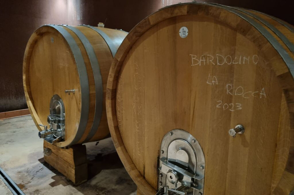 Lago di Garda: Degustazione di vini + Tour dei vigneti di Bardolino