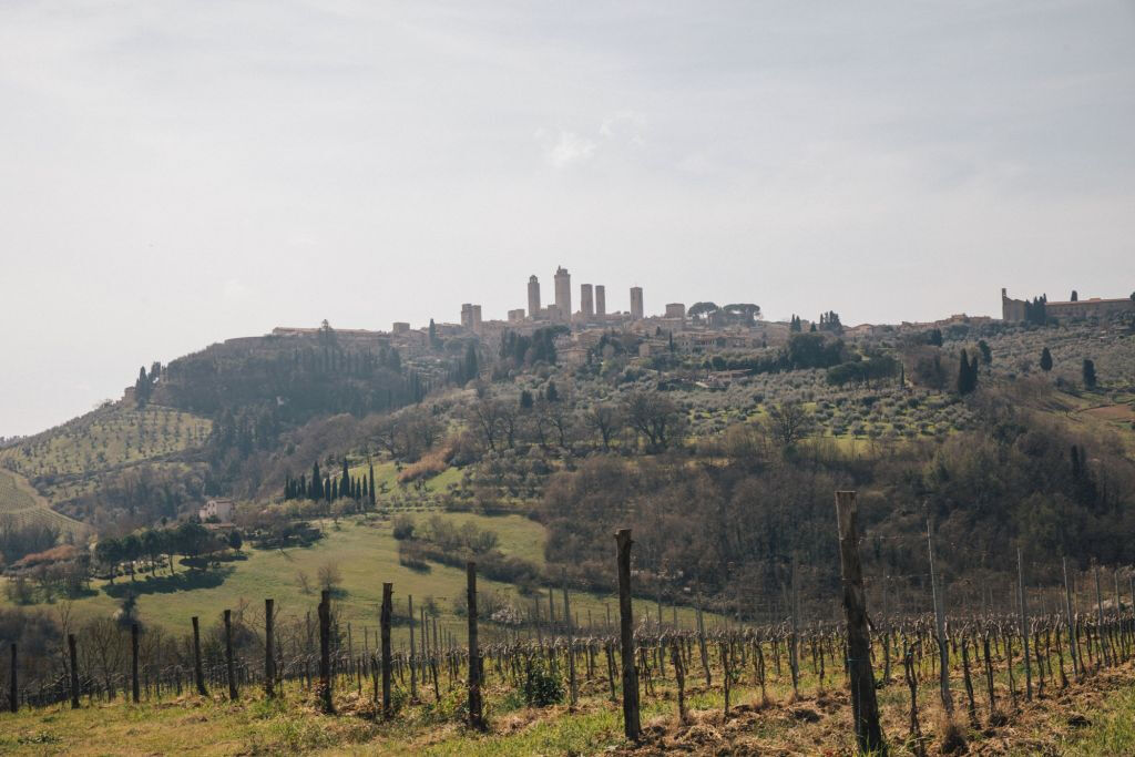 Pisa, Siena, San Gimignano y Chianti: excursión de un día desde Florencia