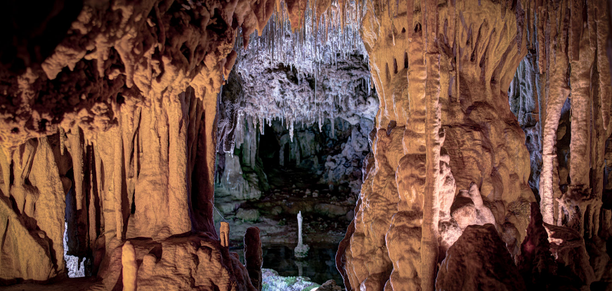 Dinosaurland y Cuevas del Hams