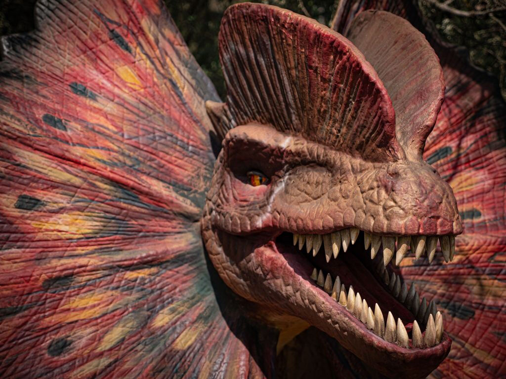Dinosaurland y Cuevas del Hams