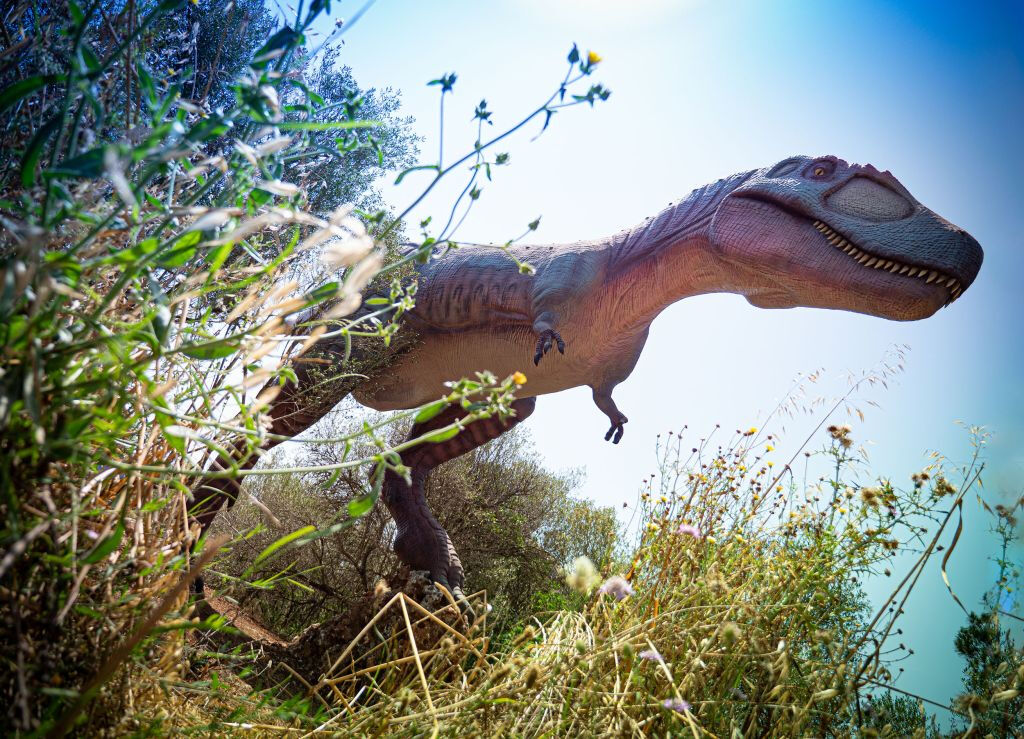 Dinosaurland y Cuevas del Hams