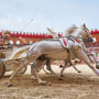 Puy Du Fou France