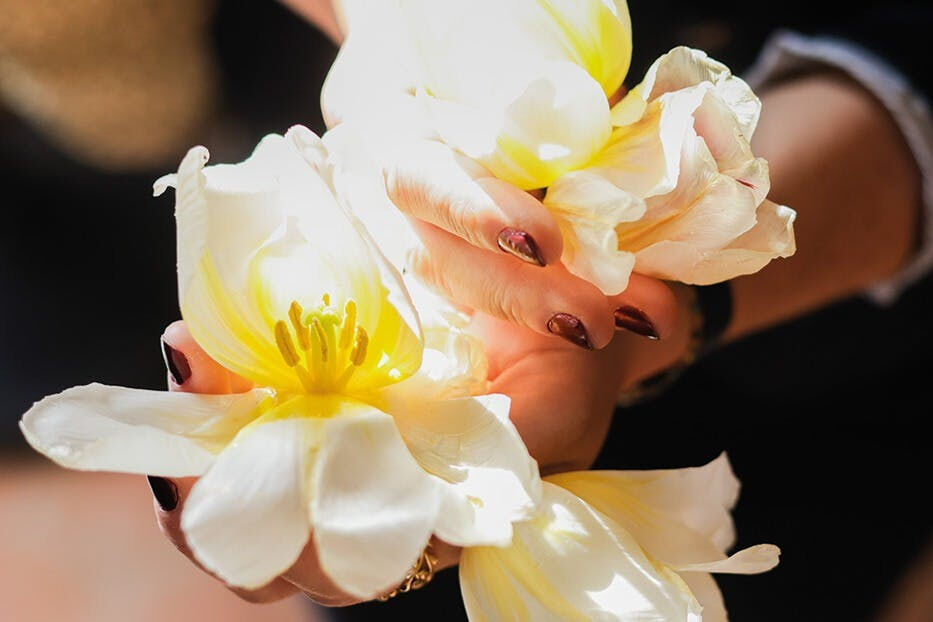 Día del Descubrimiento de los Aromas, los Pueblos y la cultura de la Costa Azul