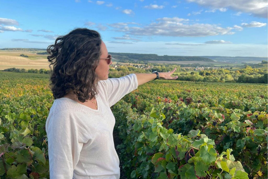 Sancerre: Degustações de vinho + almoço em Paris