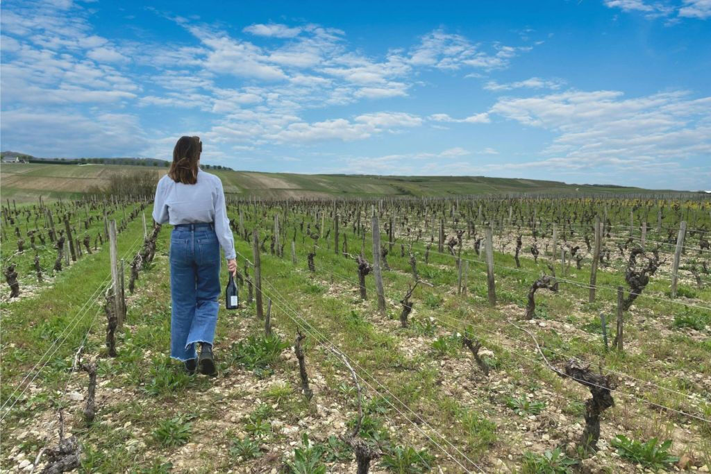 Sancerre: Degustações de vinho + almoço em Paris