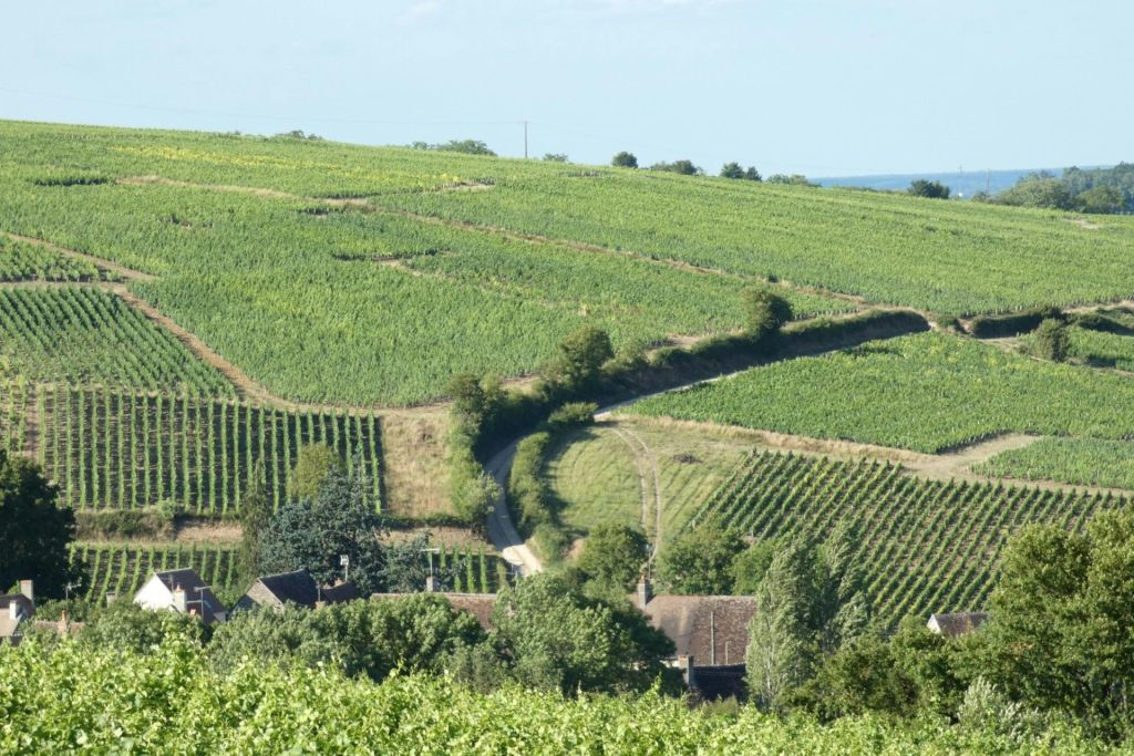 Sancerre: Degustações de vinho + almoço em Paris