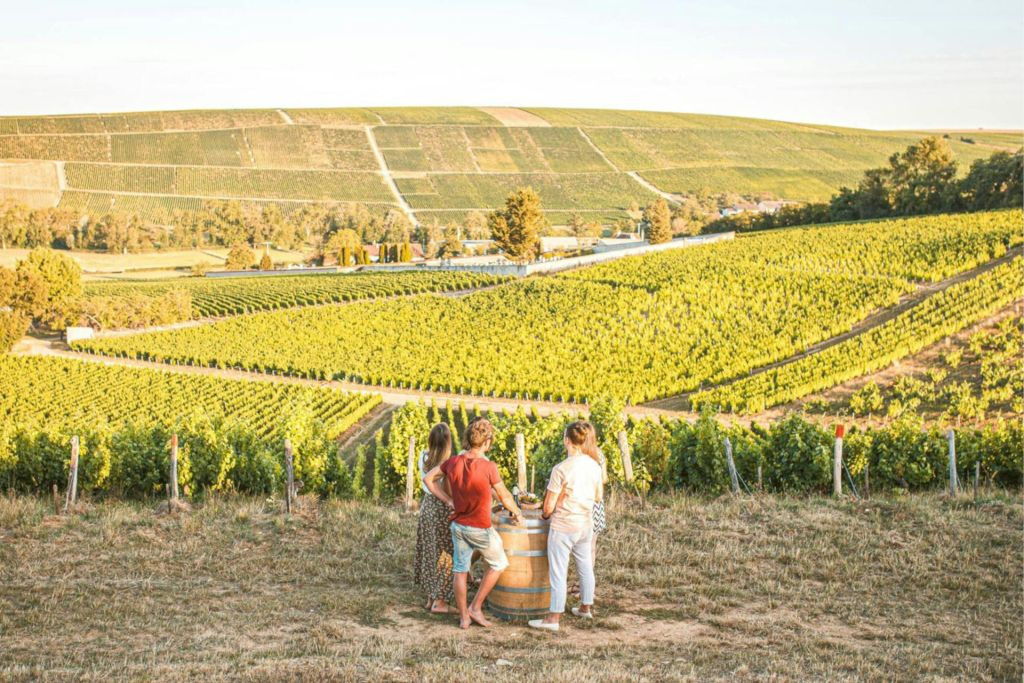 Sancerre: Degustações de vinho + almoço em Paris