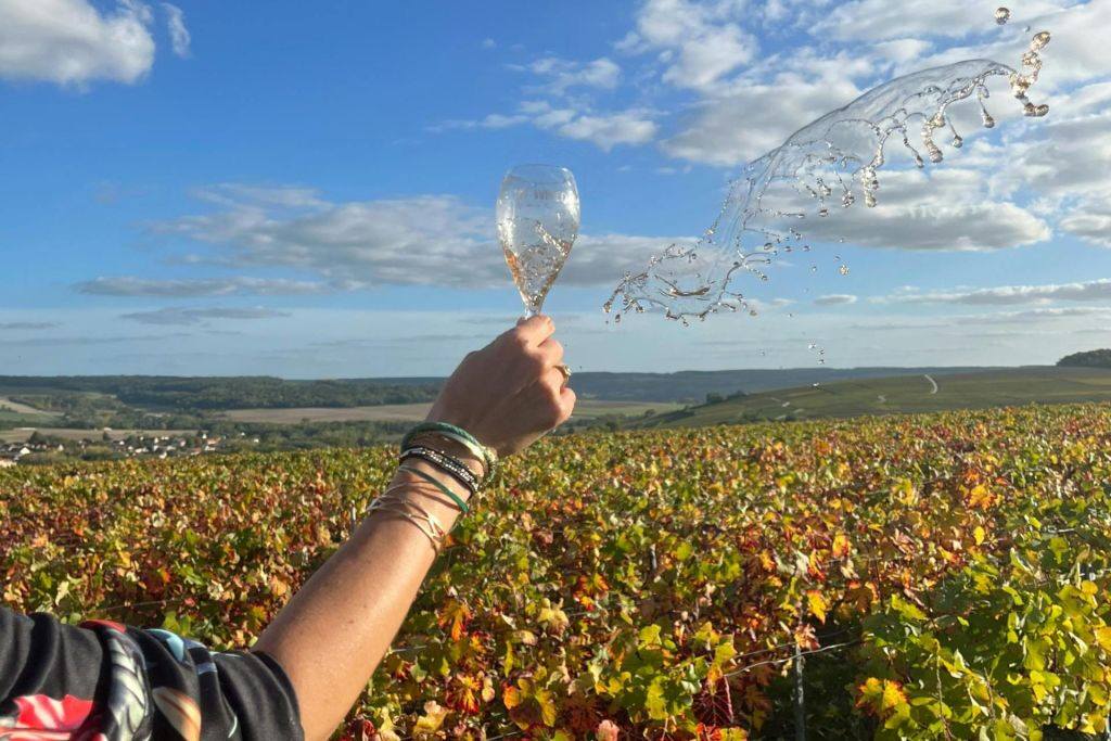 Sancerre: Degustações de vinho + almoço em Paris