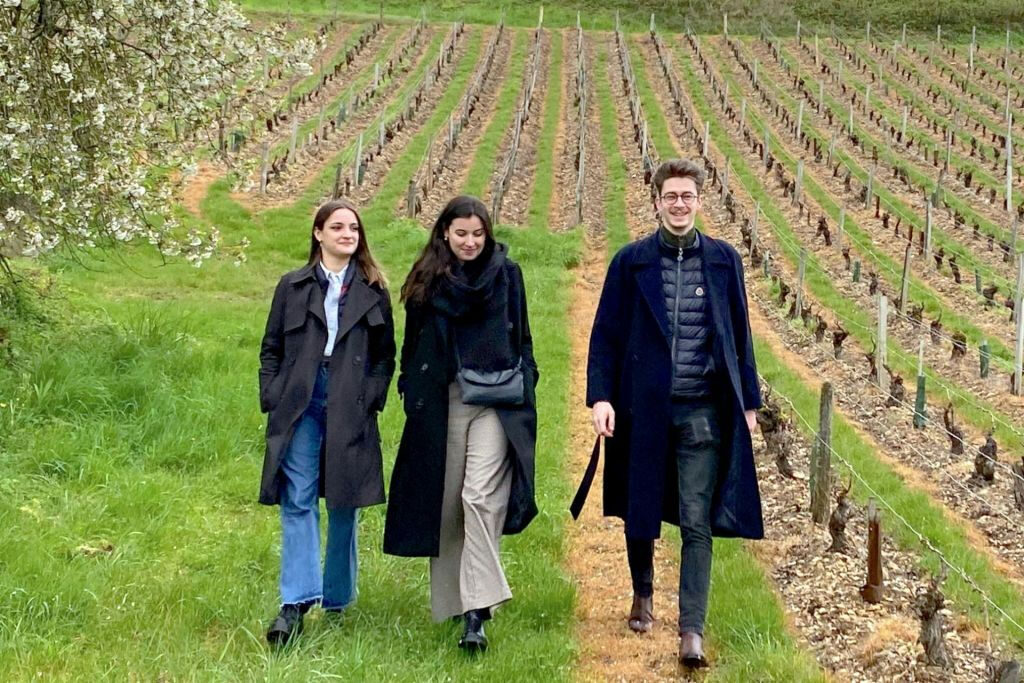 Sancerre: Degustações de vinho + almoço em Paris