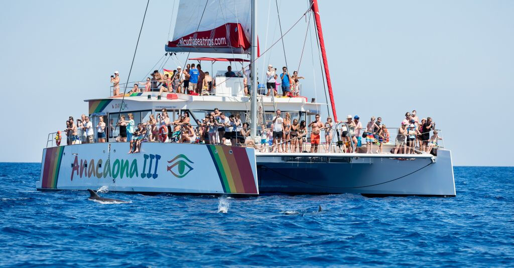  Catamaran ride in Alcudia (Mallorca)