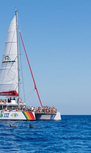 Paseo en Catamarán en Alcudia (Mallorca)