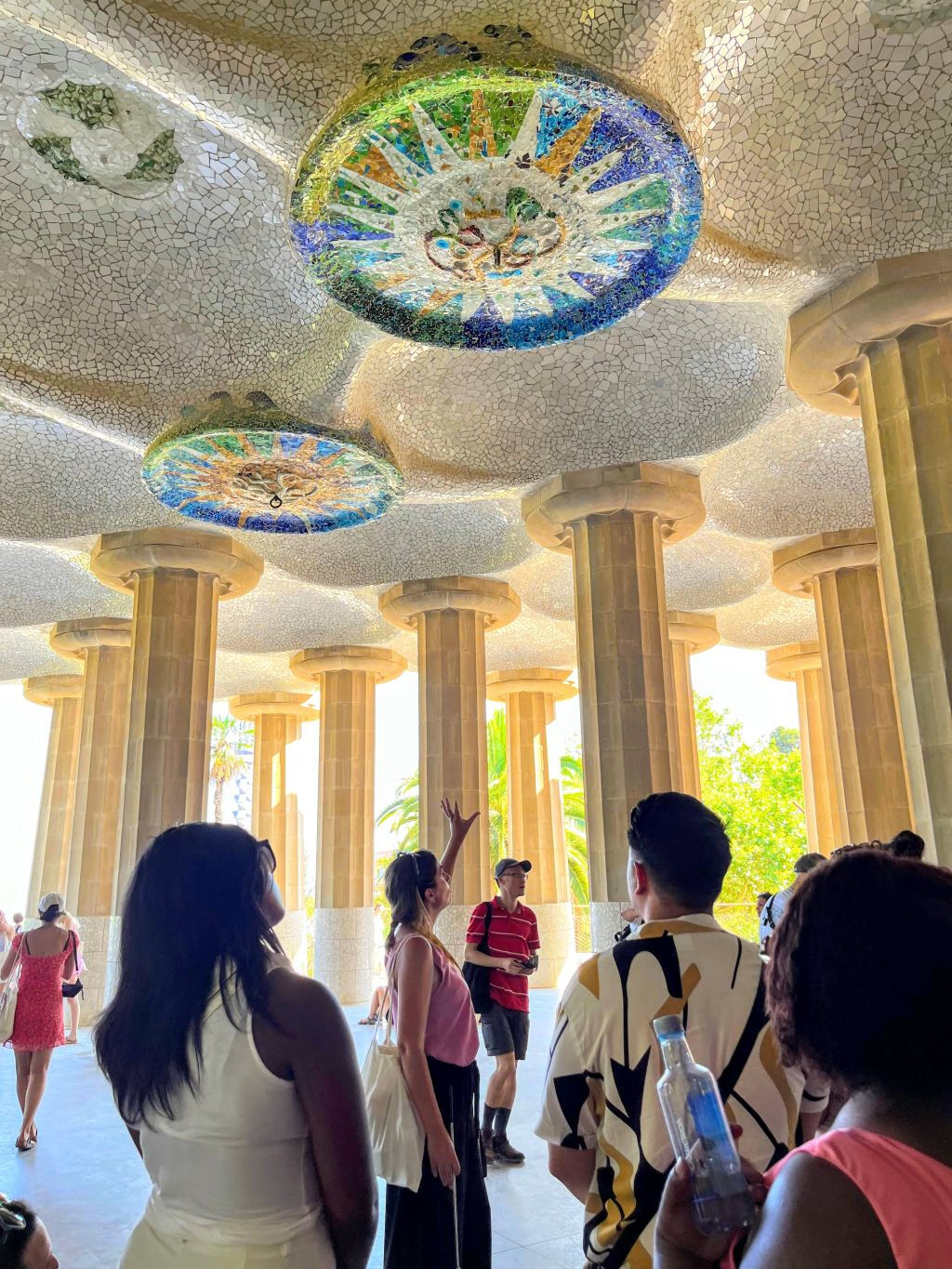 Guided Visita Sagrada Familia and Park Güell 