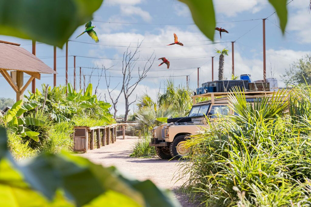 Parrot World: Passe anual