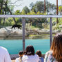 Parrot World: Annual Pass