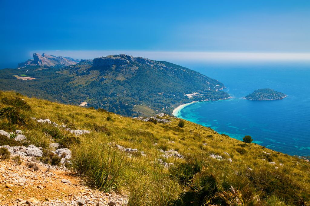 Guided Tours in Palma de Mallorca (south zone)