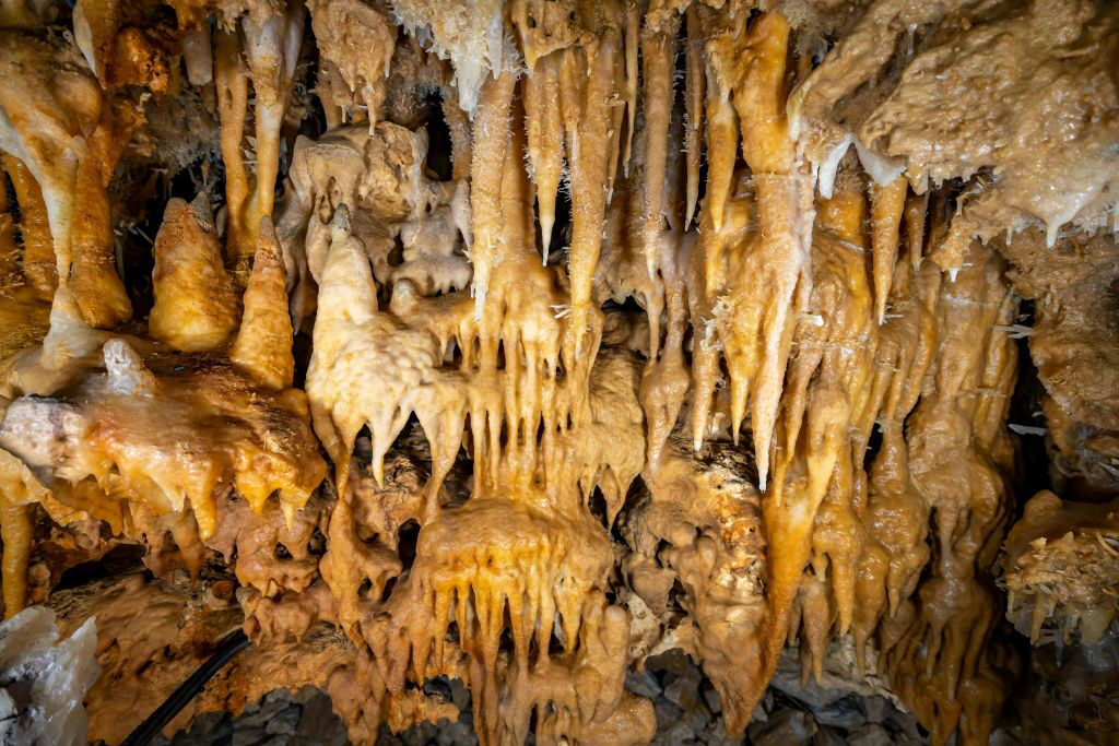 La grotte Grand Roc: Visite guidée en français