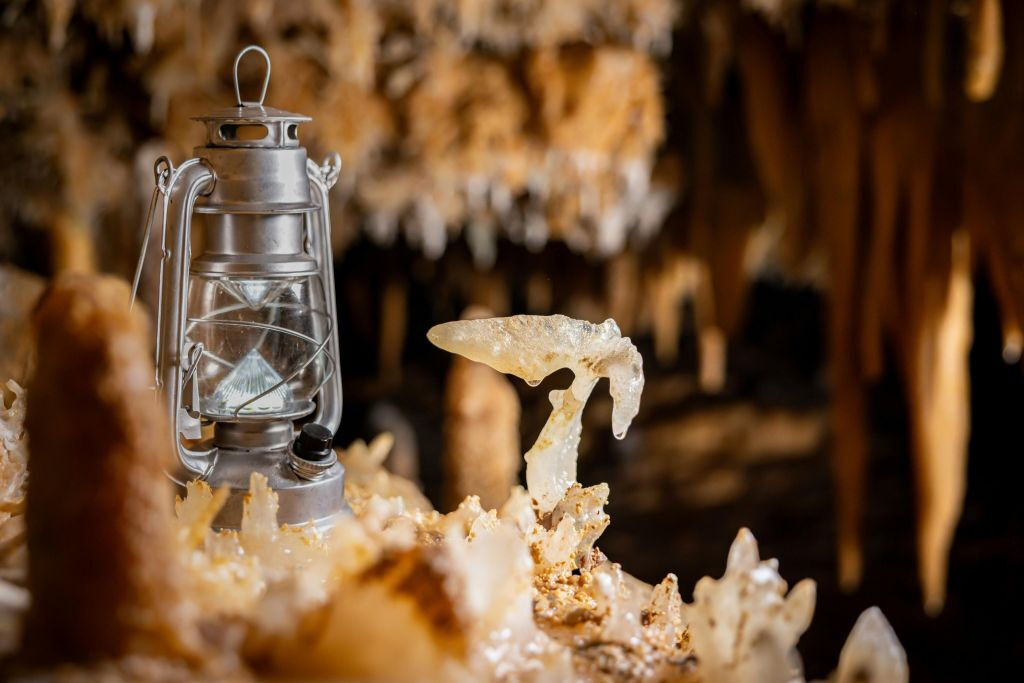 La grotte Grand Roc: Visite guidée en français