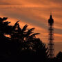 Branca Tower
