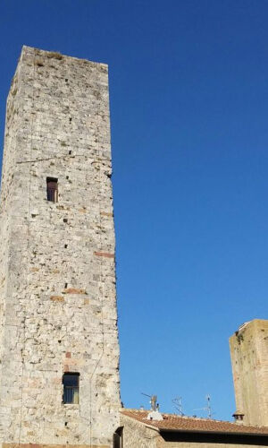 San Gimignano: Visita guidata ai vigneti + degustazione di vini + pranzo
