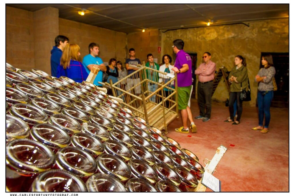 Taller Crea Tu Propio Cava Desde Barcelona