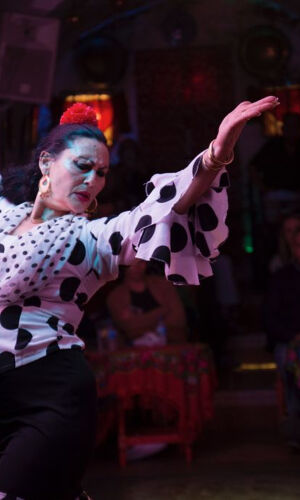 Cuevas los Tarantos - Espectáculo Flamenco (Granada)