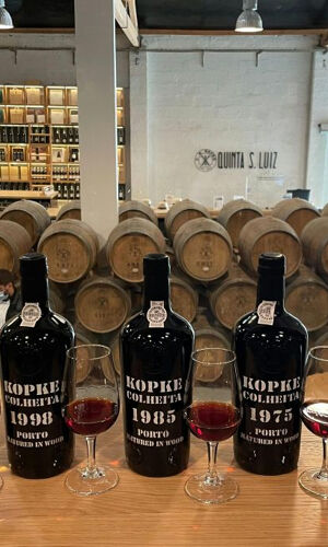 Quinta de São Luiz: Visita às vinhas