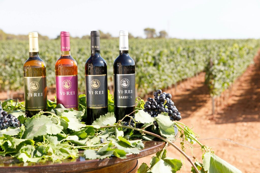 Bodega Vi Rei: Visita guiada y cata de vinos