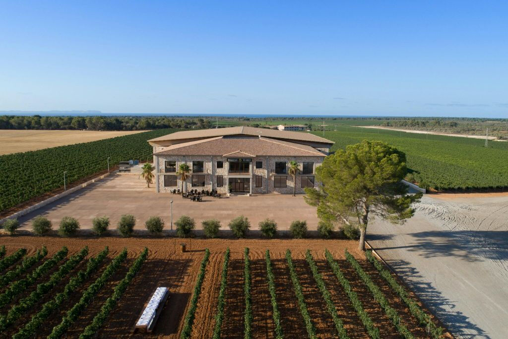 Bodega Vi Rei: Visita guiada y cata de vinos