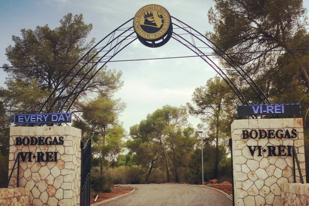 Bodega Vi Rei: Visita guiada y cata de vinos